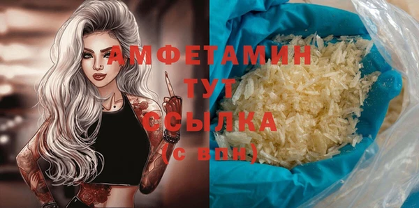 амф Алексин