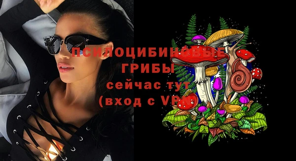 амф Алексин